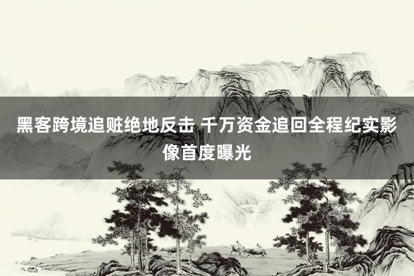 黑客跨境追赃绝地反击 千万资金追回全程纪实影像首度曝光