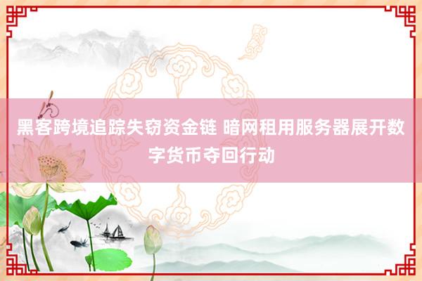 黑客跨境追踪失窃资金链 暗网租用服务器展开数字货币夺回行动